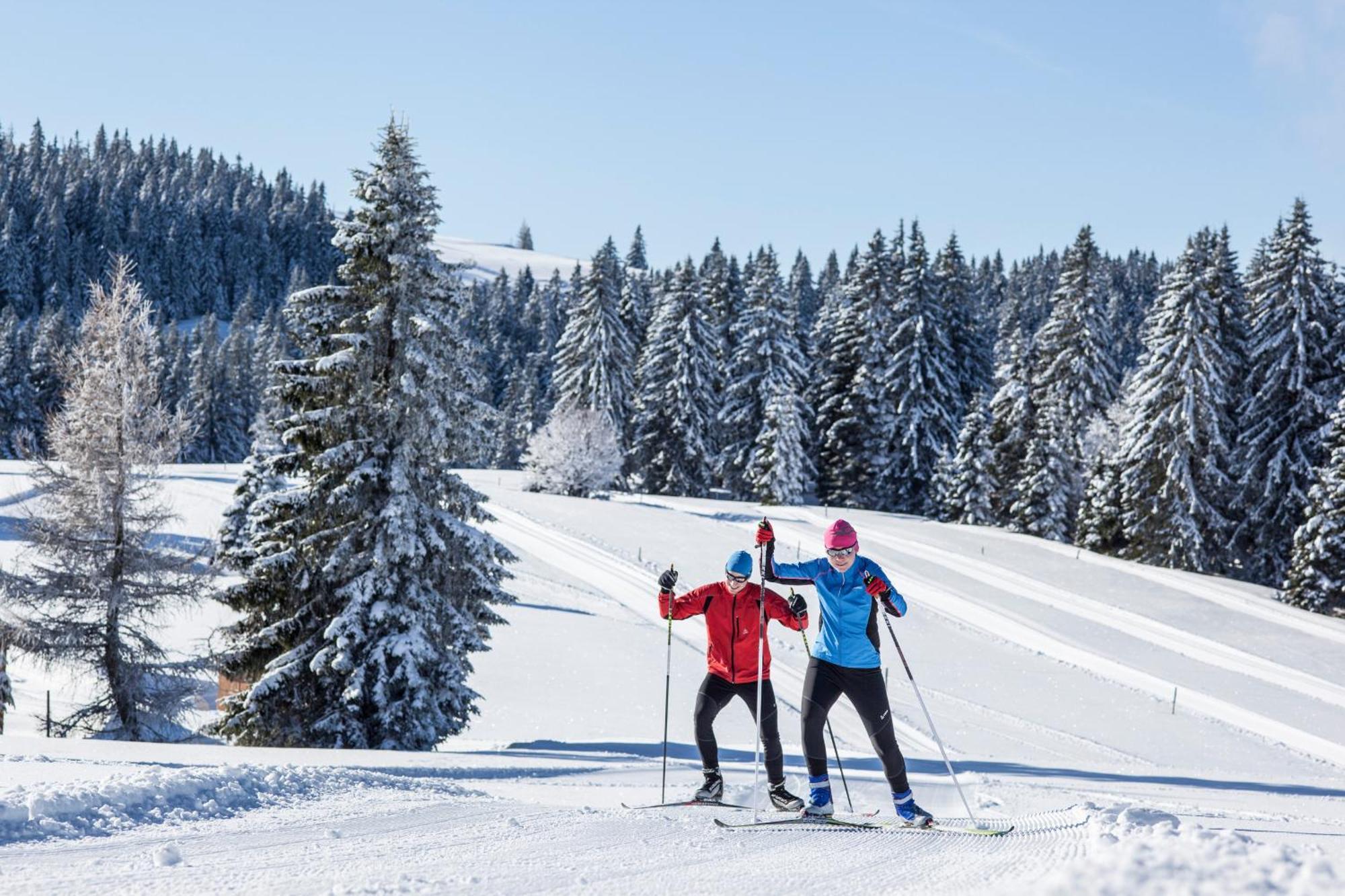 Ferienwohnung Seeblick Nr 5, 2 Zi-Baerental, Feldberg Rotwasser Luaran gambar
