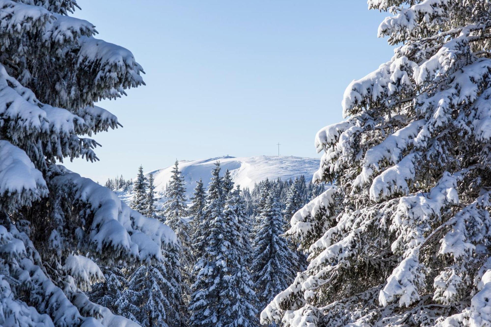 Ferienwohnung Seeblick Nr 5, 2 Zi-Baerental, Feldberg Rotwasser Luaran gambar