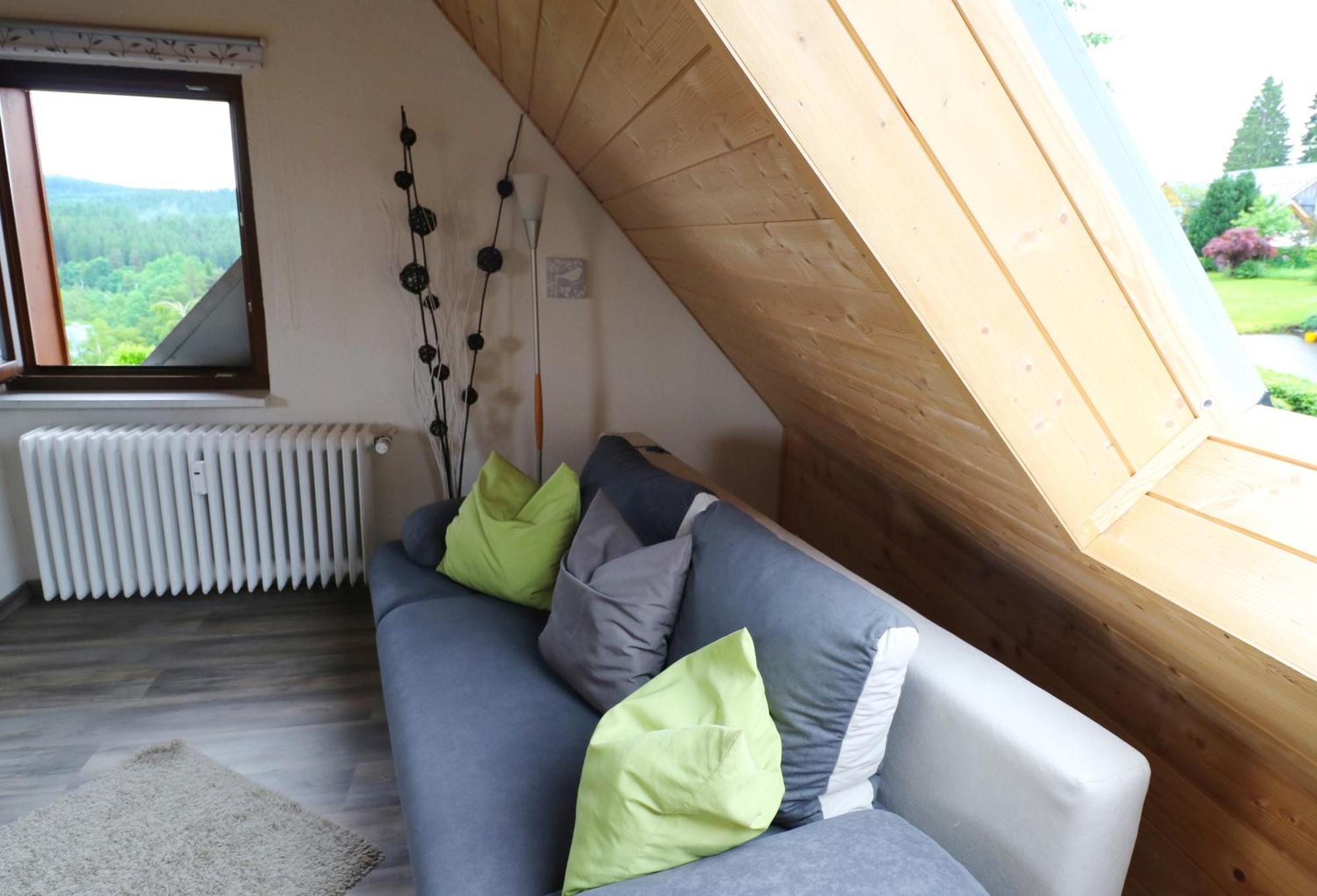 Ferienwohnung Seeblick Nr 5, 2 Zi-Baerental, Feldberg Rotwasser Luaran gambar